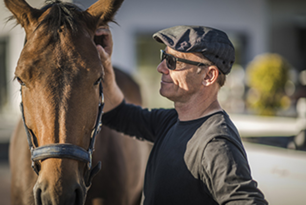Horse Trader Purchase Agreement